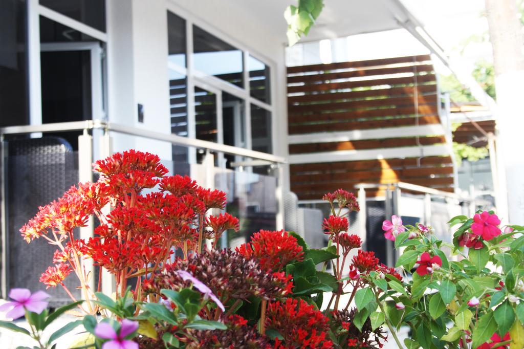 סרנדה Hotel Aulona מראה חיצוני תמונה